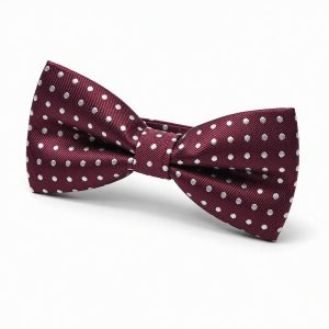 Nœud papillon microfibre façon daim à pois — Bordeaux