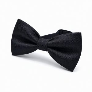 Nœud papillon microfibre façon daim texturé — Noir uni